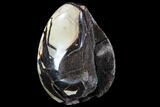 Septarian Dragon Egg Geode - Black Crystals #88498-2